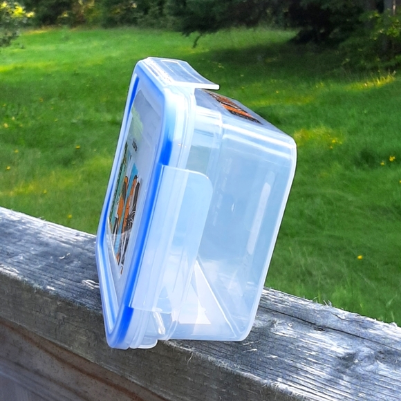 Set of 2 Looney Tunes Snapware Containers NWT - Picture 4 of 6